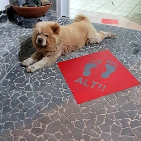 Cappotto Civico 48 Alojamento de Acomodação e Pequeno-almoço